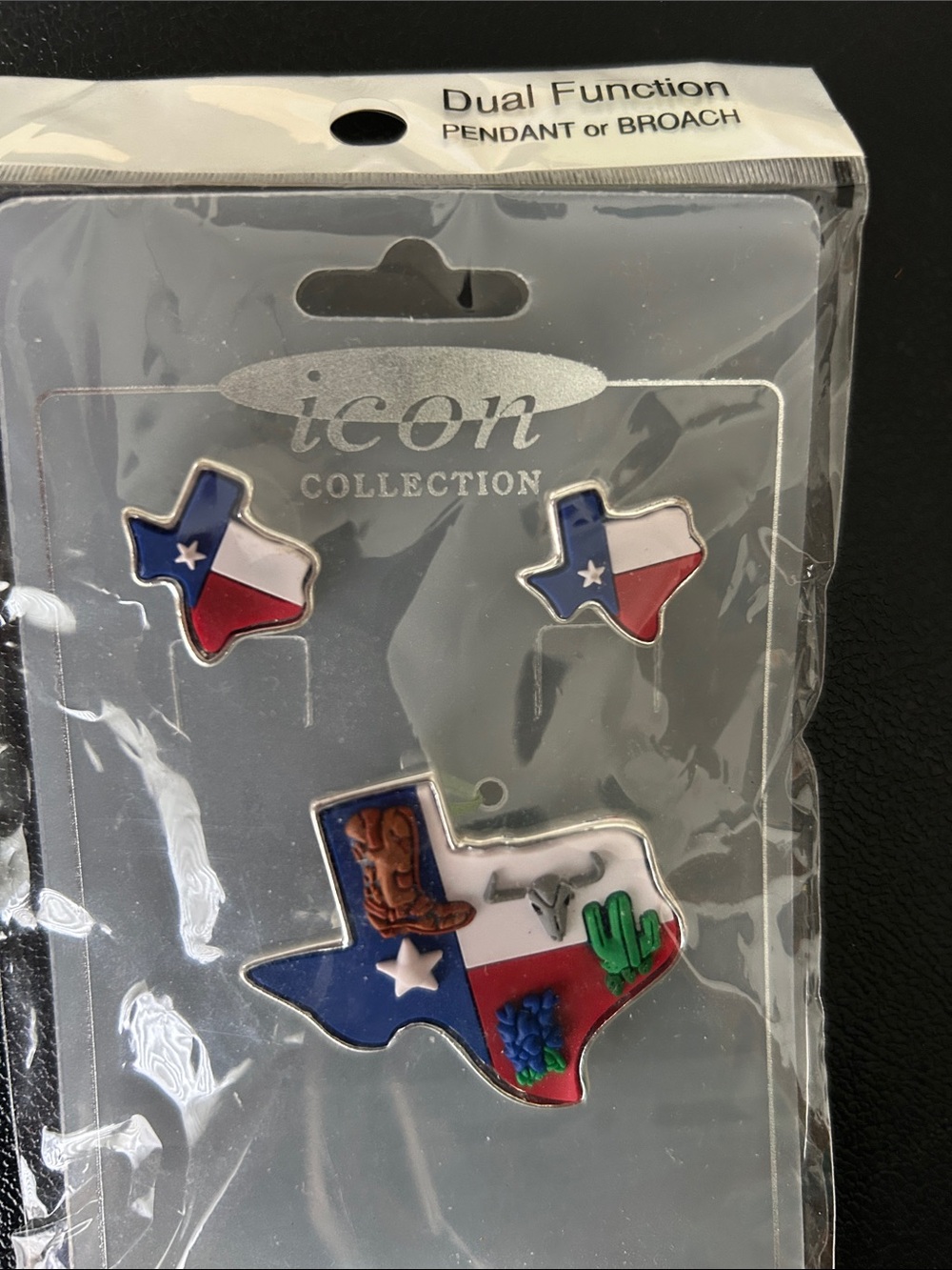 Icon Collection Texas Flag Dual-Function Pendant/Broach Set With Earrings